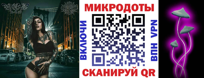 купить  сайты  Ковров  Галлюциногенные грибы Psilocybe 